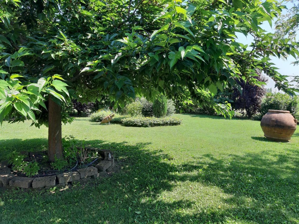 Casa Massimo Hotel Altedo Buitenkant foto