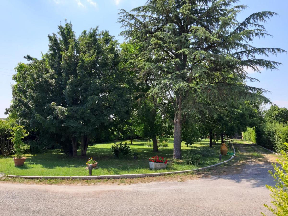 Casa Massimo Hotel Altedo Buitenkant foto